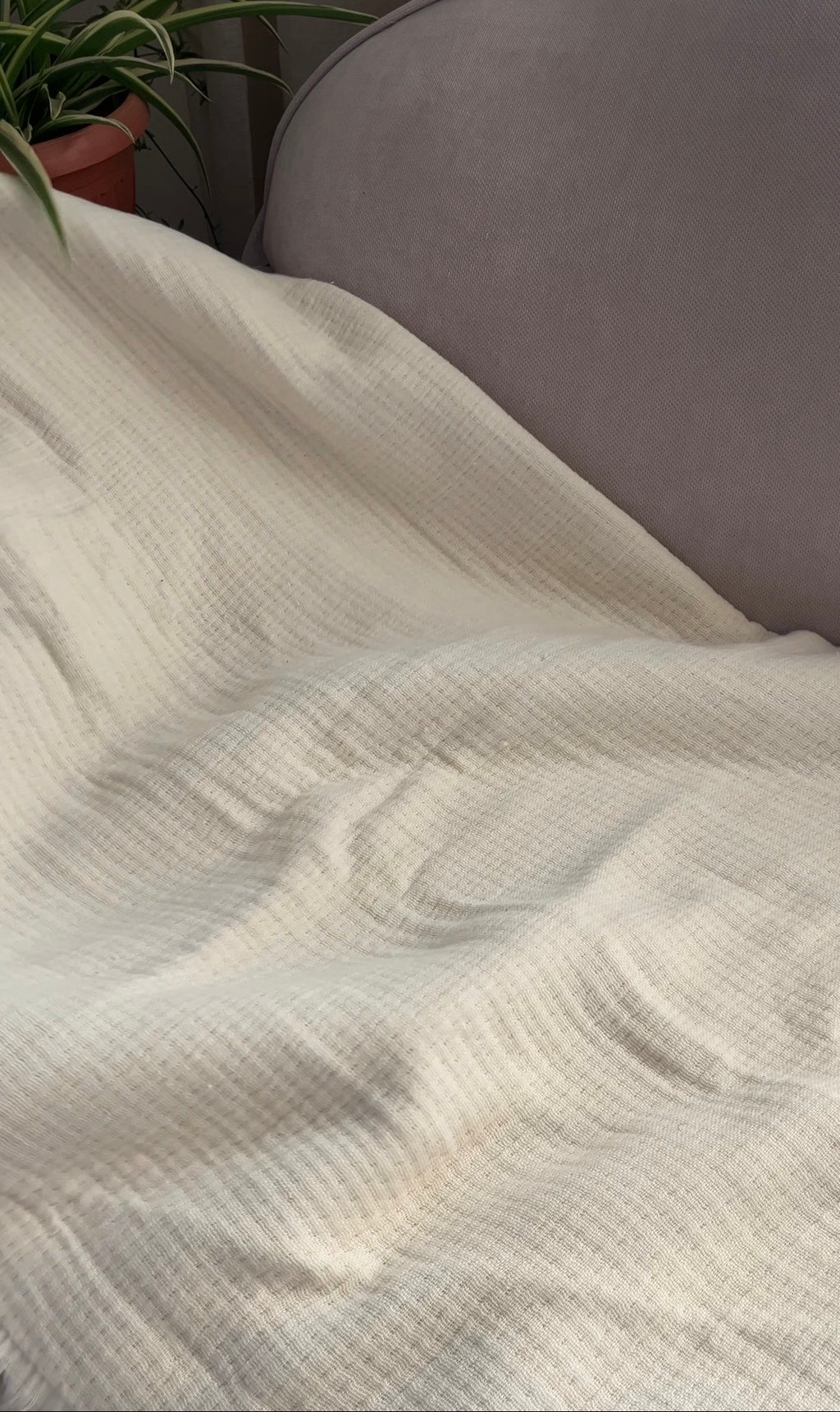 Cream Throw